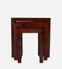Oakland Nesting Table In Honey Finish