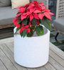 White Oasis Marble 12 Inch Large Ribbed Planter