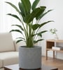 Grey Oasis Mosaic 12 Inch Large Unbreakable Ribbed Planter