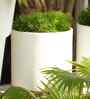 White Oasis 12 Inch Large Ribbed Plastic Planter