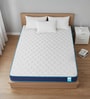 Oblak True Orthopedic 5 Inches Queen Size Mattress
