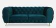 Octavius 3 Seater Velvet Sofa in Teal Blue Colour