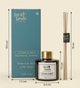 Ocean & Mint Aromatic Reed Diffuser Set with Reed Sticks