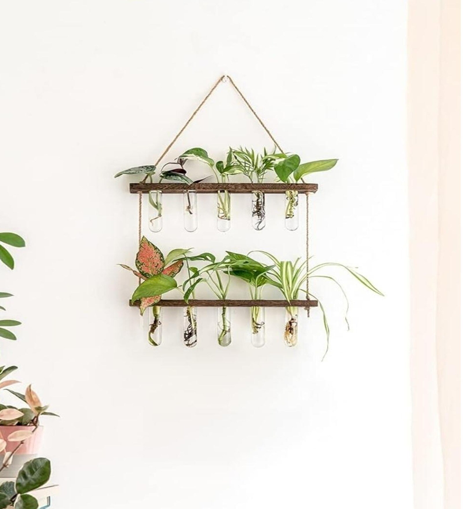 Off White Glass Designer Hanging Planter