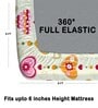 Off White 180 TC Floral Cotton Fitted Double Bedsheet 2 Pillow covers