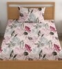 Off White 200 TC Floral Cotton Single Bedsheet Pillow covers
