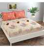 Off White Floral 144 TC Cotton King Sized Bedsheet Bedsheet 2 Pillow Prime Collection