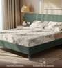 Off white Floral 200 TC Microfiber Double Bedsheet with 2 Pillow Covers