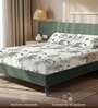 Off white Floral 200 TC Microfiber Double Bedsheet with 2 Pillow Covers