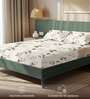 Off white Floral 200 TC Microfiber Double Bedsheet with 2 Pillow Covers