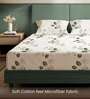 Off white Floral 200 TC Microfiber King Sized Bedsheet with 2 Pillow Covers