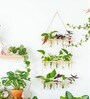 Off White Glass Designer Hanging Planter