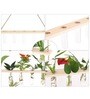 Off White Glass Designer Hanging Planter