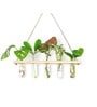 Off White Glass Designer Hanging Planter