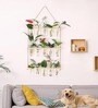 Off White Glass Designer Hanging Planter