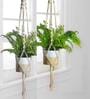 Off White Macrame Boho Hanging Planter (Set of 2)