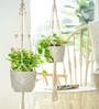 Off White Macrame Boho Hanging Planter (Set of 2)