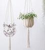 Off White Macrame Boho Hanging Planter (Set of 5)
