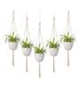 Off White Macrame Boho Hanging Planter (Set of 5)