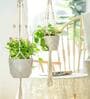 Off White Macrame Boho Hanging Planter (Set Of 5)