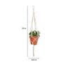 Off White Macrame Boho Hanging Planter (Set Of 5)