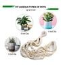 Off White Macrame Boho Hanging Planter (Set Of 5)