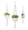 Off White Macrame Designer Hanging Planter (Set of 3)