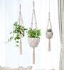 Off White Macrame Designer Hanging Planter (Set of 3)