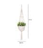 Off White Macrame Designer Hanging Planter (Set of 3)