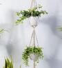 Off White Macrame Designer Hanging Planter