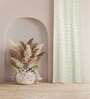 Off White Polyester Jacquard 9ft Regular Eyelet Long Door Curtain