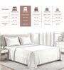 Off White Solid 400 TC Cotton King Sized Bedsheet with 2 Pillow Covers