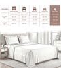 Off White Solid 400 TC Cotton Single Sized Bedsheet with 1 Pillow Cover