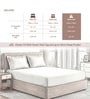 Off white Solid 400 TC Cotton Single Sized Fitted sheet with 1 Pillow Cover