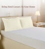 Off white Solid 400 TC Cotton Standard Sized 2 Pillow Covers