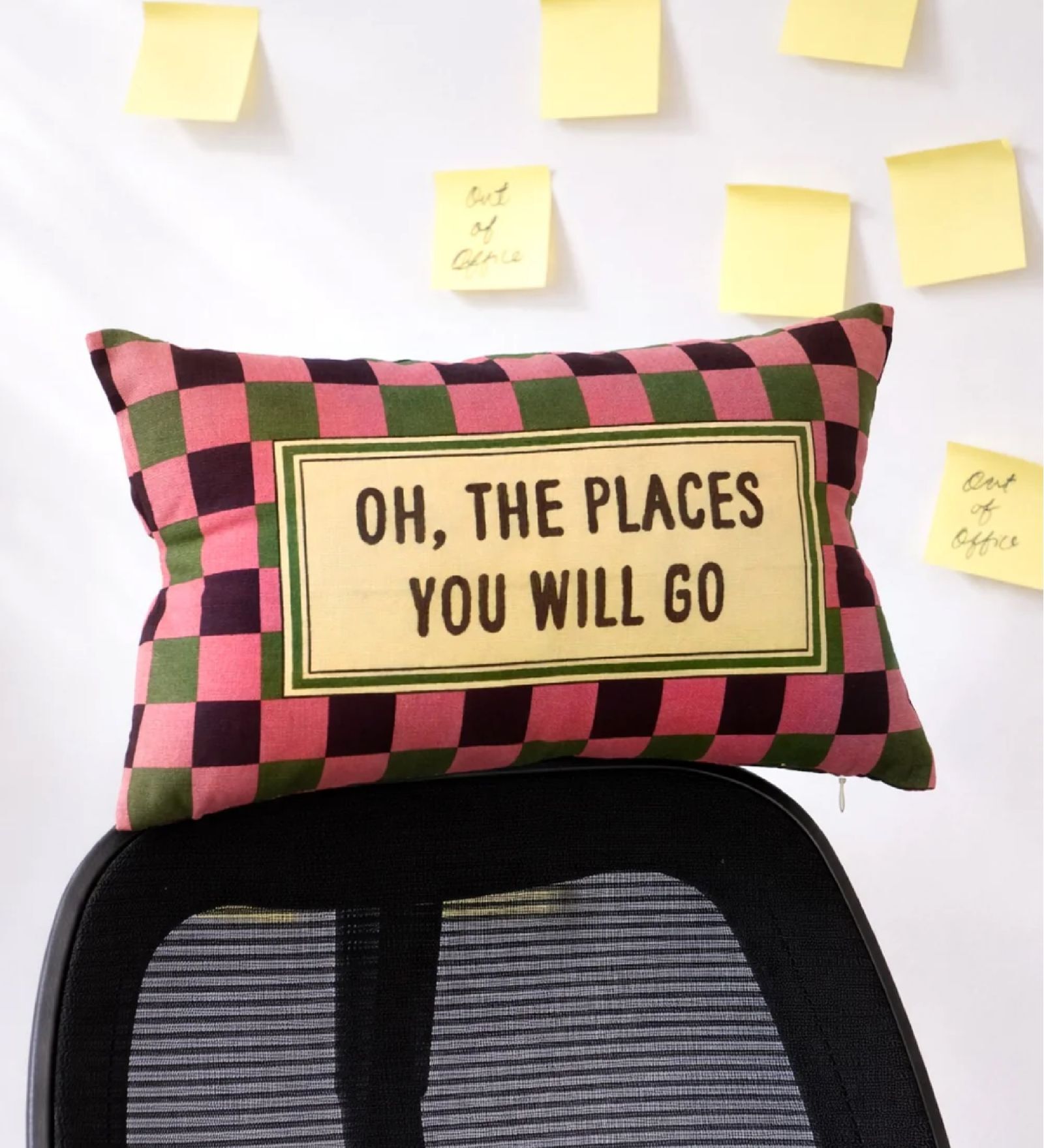 Oh The Place You Will Go Multipurpose Cushion