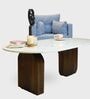 Ohana Natural Marble Minimalist Centre Table In Brown Finish
