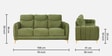 Olivia 3 Seater Fabric Sofa In Green Color