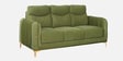Olivia 3 Seater Fabric Sofa In Green Color