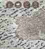 Olive and Cream Floral 5x7 Feet Machine Made Carpet