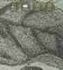Olive and Cream Floral Polypropylene 9 ft x 6 ft Machine Made Carpet