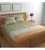 Olive Floral 144 TC Cotton Queen Sized Bedsheet Bedsheet 2 Pillow Rose Collection