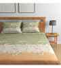 Olive Floral 144 TC Cotton Queen Sized Bedsheet Bedsheet 2 Pillow Rose Collection