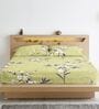 Olive Floral 210 TC Cotton Blend Fitted Bedsheet & 2 Pillow Covers