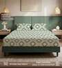 olive green Floral 200 TC Microfiber King Sized Bedsheet with 2 Pillow Covers