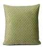 Olive Velvet Solid 16x16 inches Cushion Covers (Pack of 5)