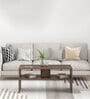 Oliver Coffee Table In Brown Maple Colour