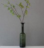Oliver Green Glass Vase,