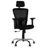 Olivia Ergonomic Chair in Chrome Black Colour