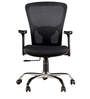 Olivia Ergonomic Chair in Black Colour